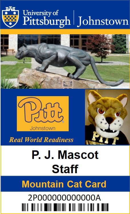 Pitt student ID