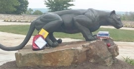 books next to mountain lion statue