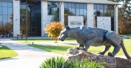 mountain cat statue infront of blackington hall