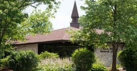 chapel surrounded by trees